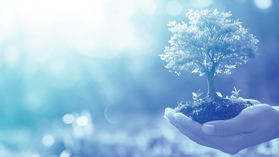 サステナビリティ